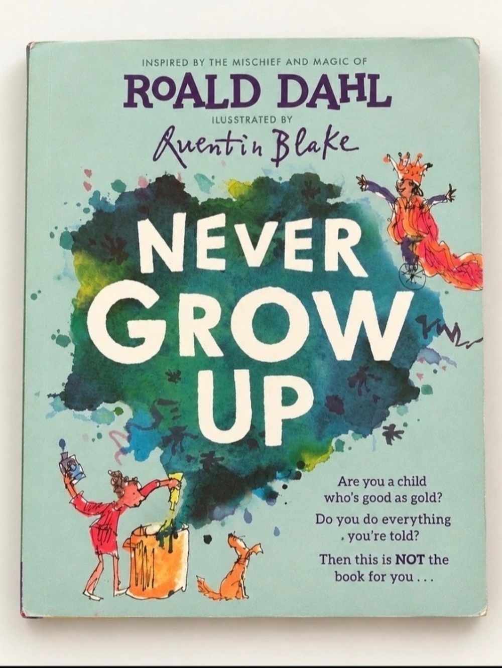 Roald Dahl - rare book Never Grow Up Illustrated Children's Hardcover Book DJ